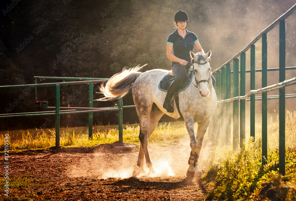 Woman riding a horse in dust on paddock