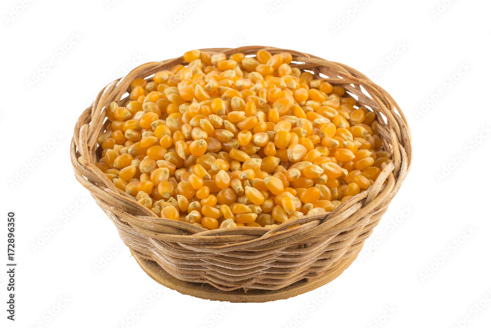 Popcorn corn. Raw grain in a bowl