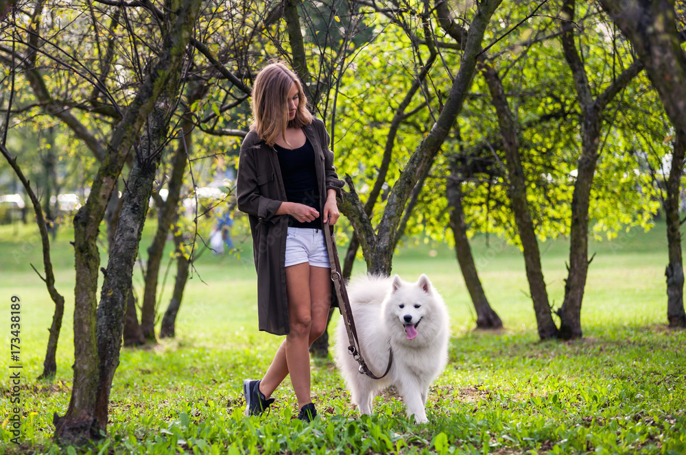 年轻女孩在公园遛萨摩耶犬