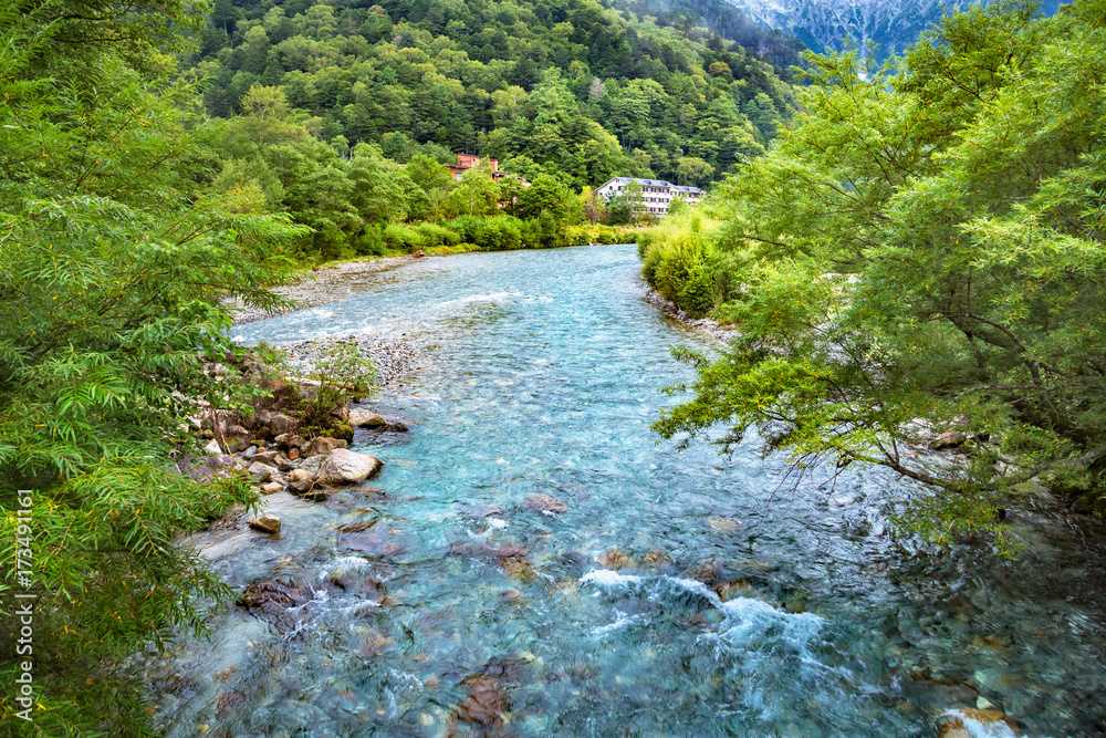 山奥の木々と川の流れ