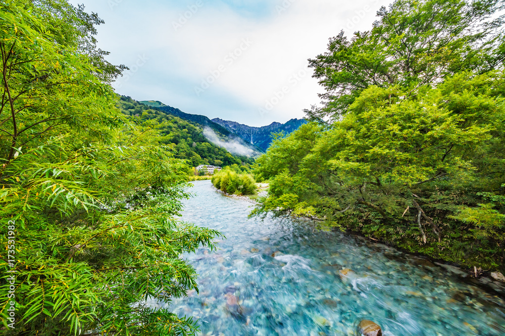 山奥の木々と川の流れ