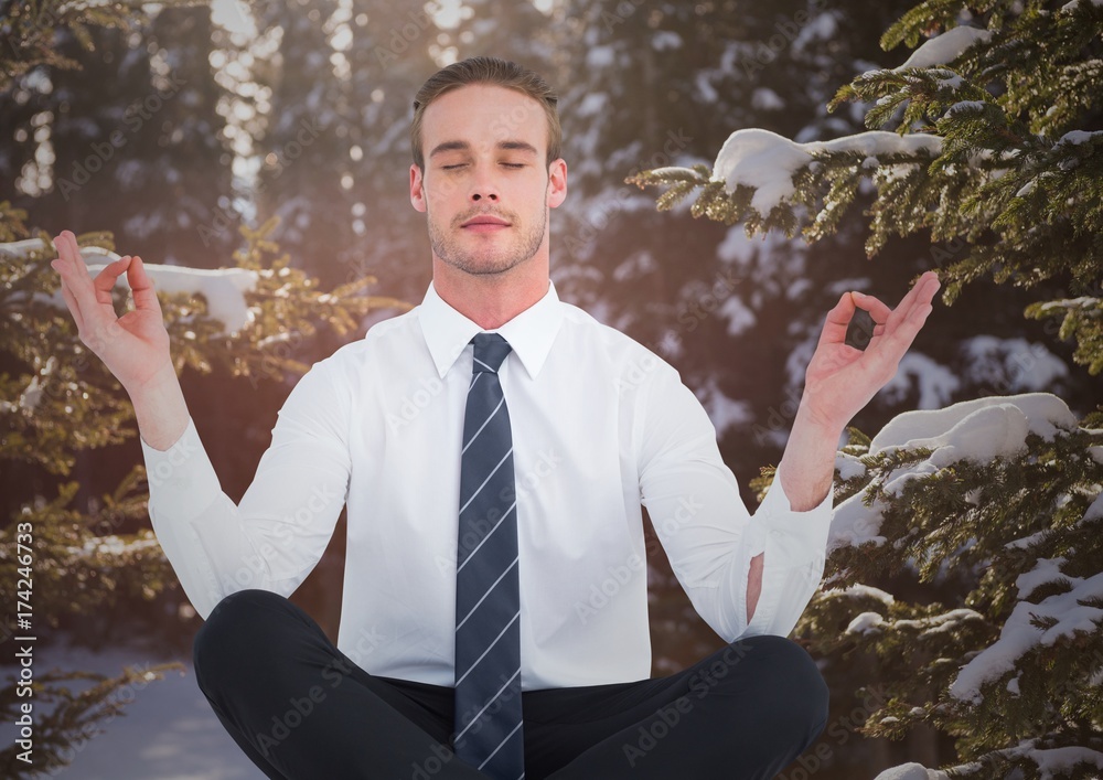 商人在白雪皑皑的树上沉思