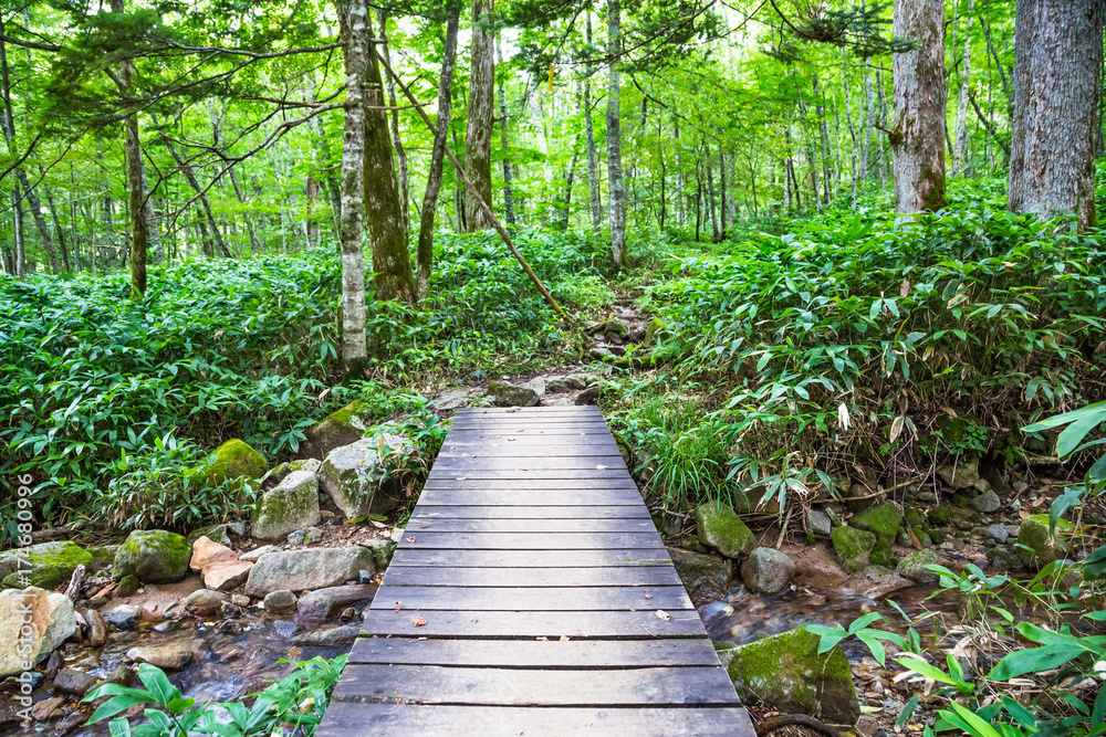 登山道