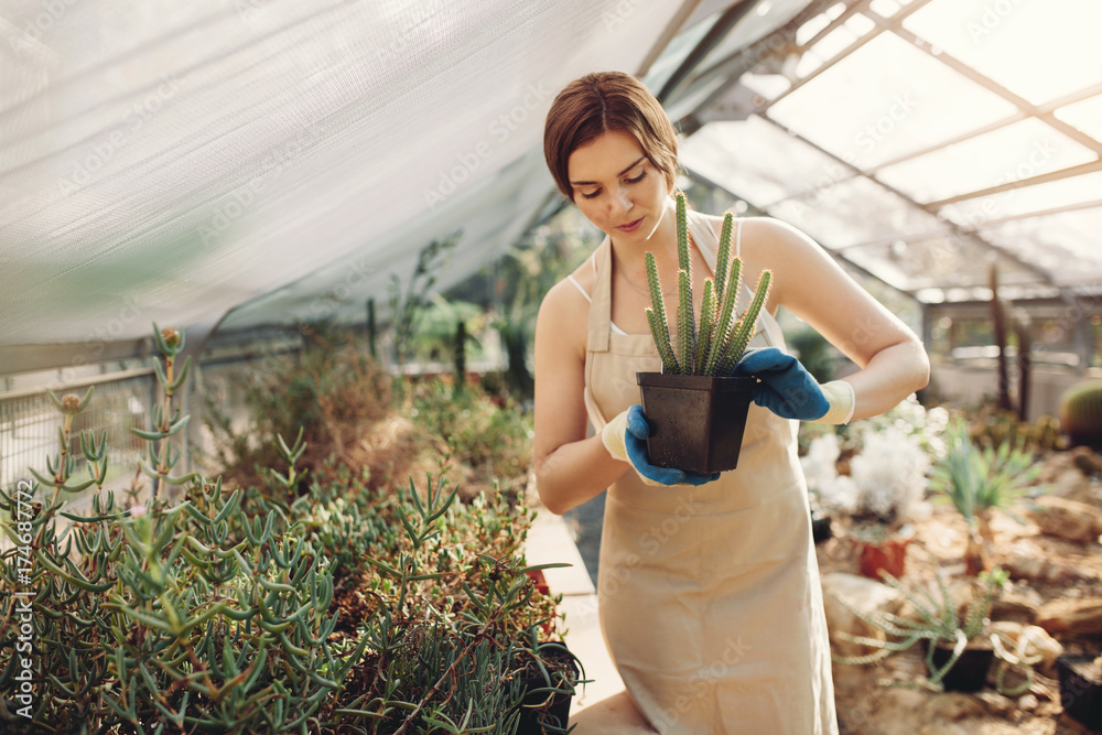 Beautiful gardener with potted cactus at plant nursery