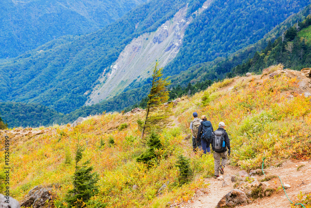 登山道