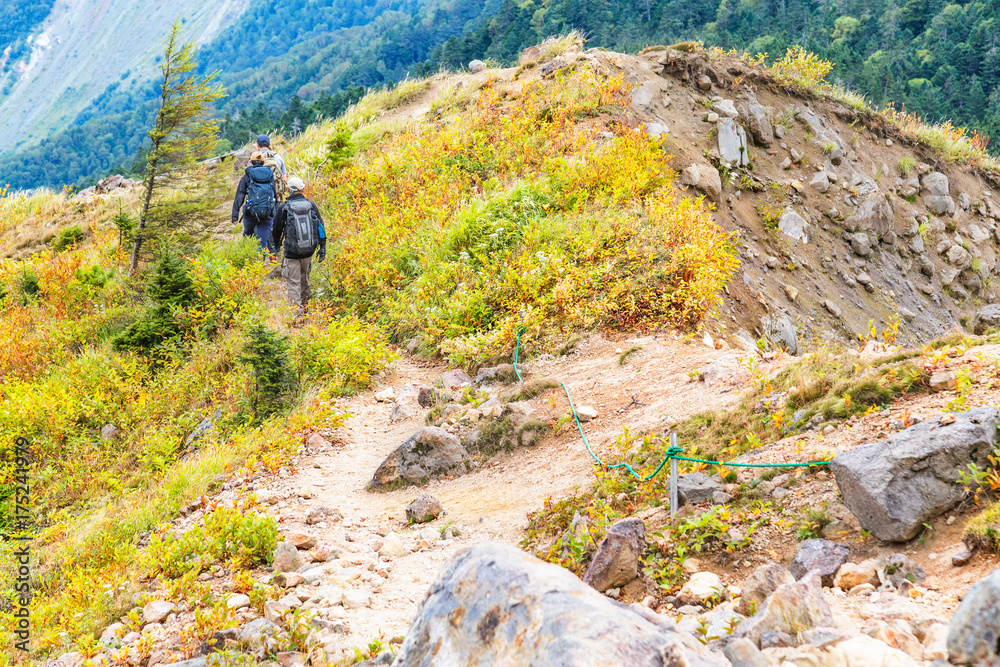 登山道