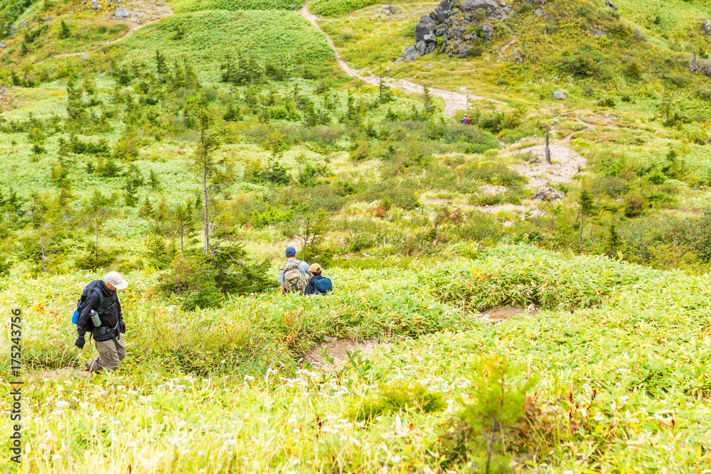 登山道