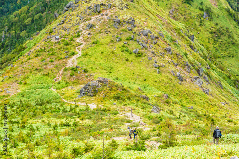 登山道