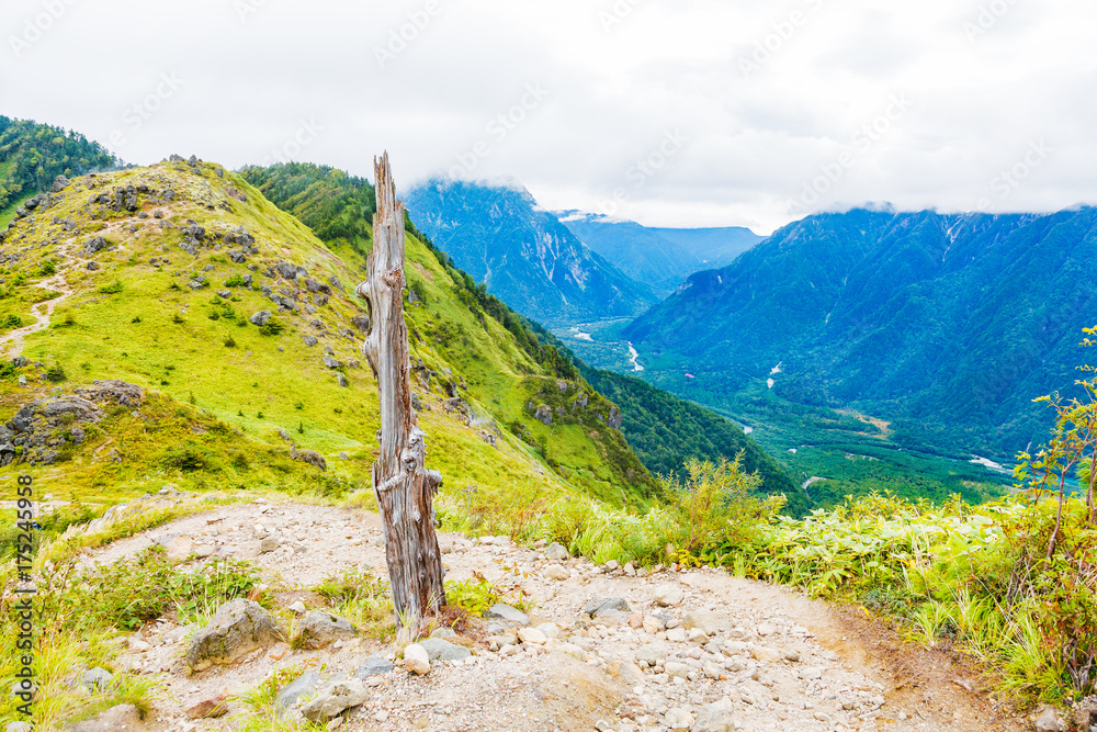 登山道