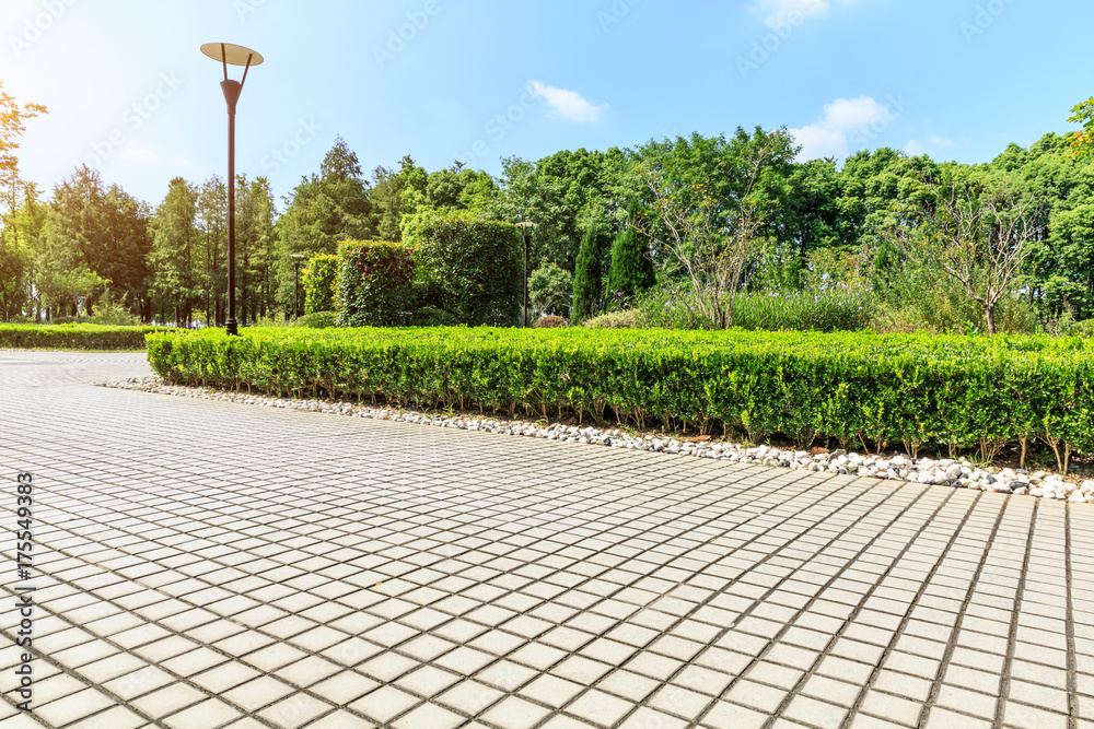 安静的城市公园里的空层道路和绿色植物