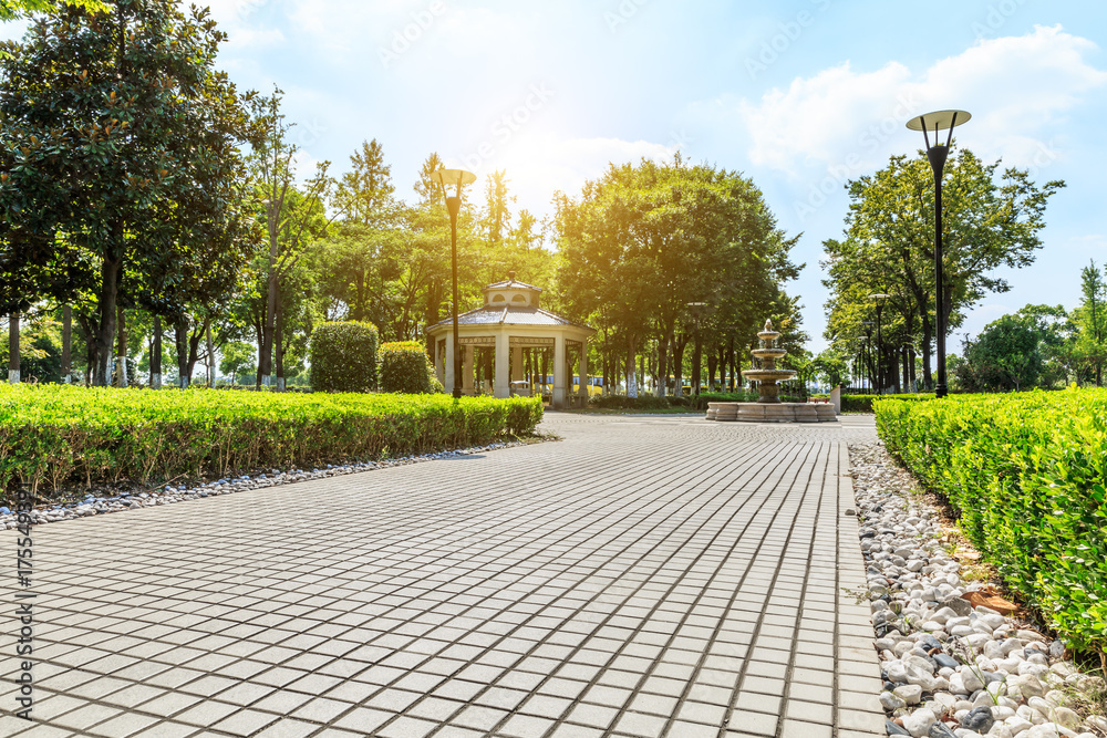 安静的城市公园里的空层道路和绿色植物