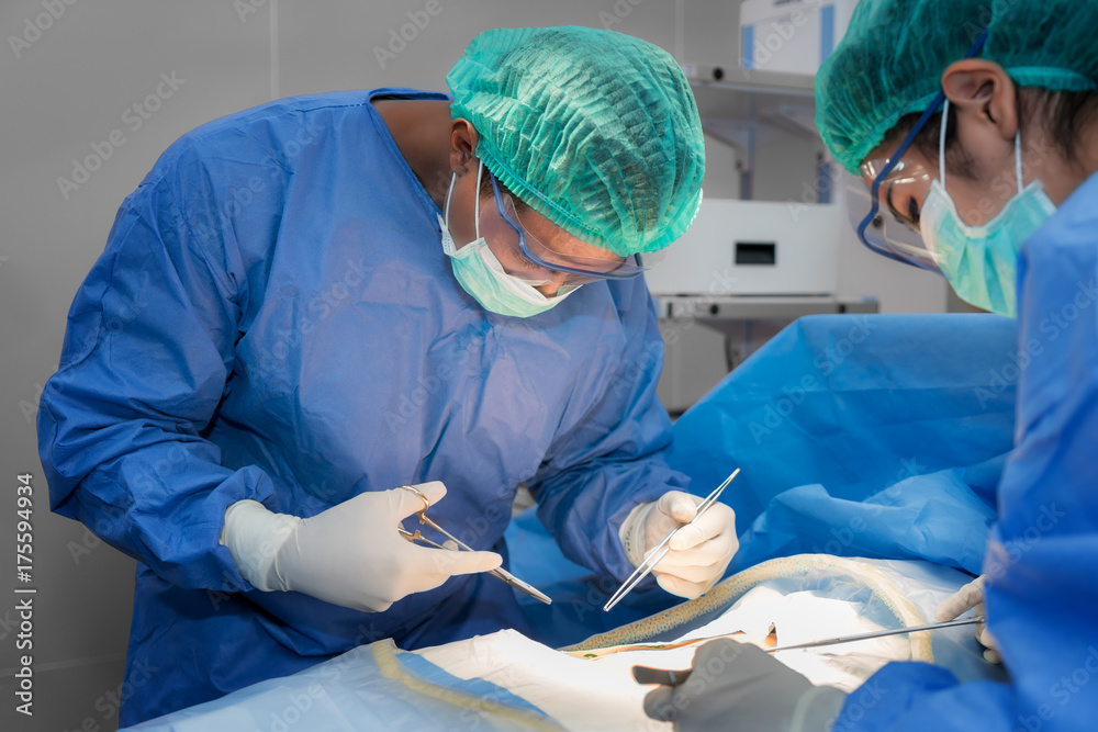 Asian doctor and an assistant in the operating room for surgical venous vascular surgery clinic in h