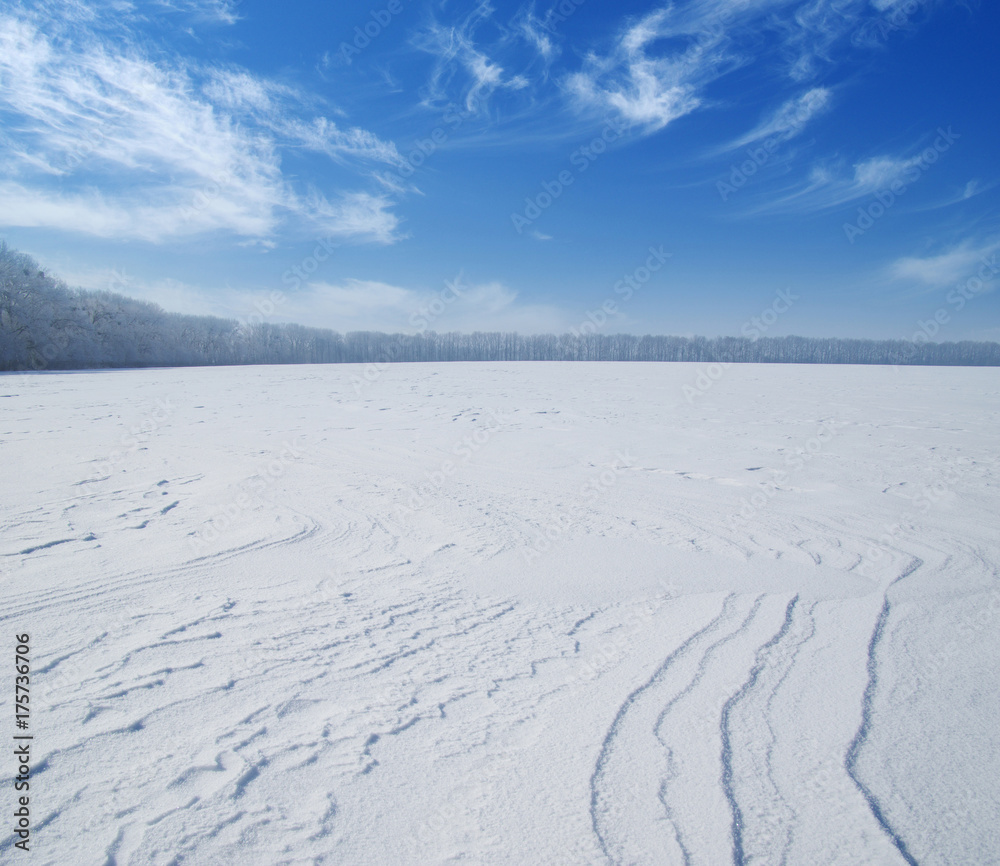 雪地