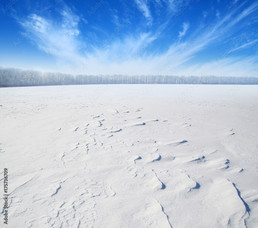 雪地