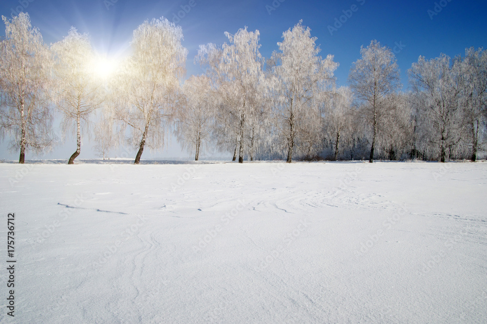 蓝天上的雪域