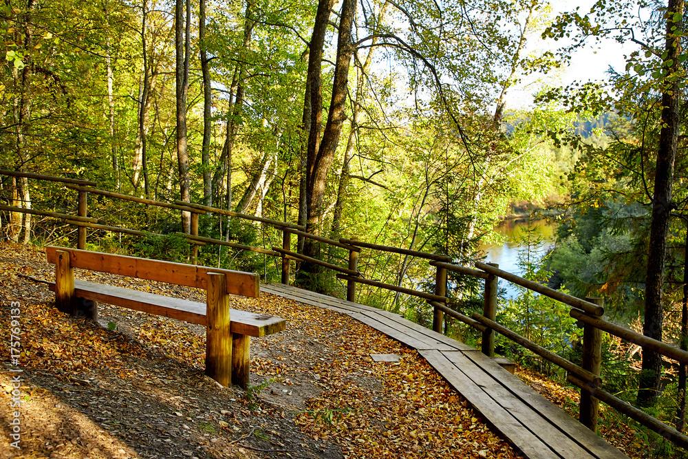 wooden bench in mountain park