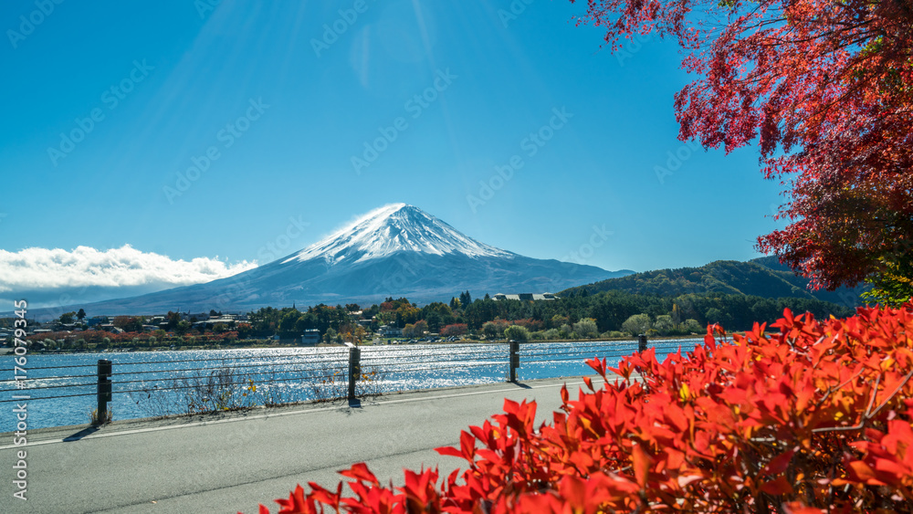 日本秋色富士山