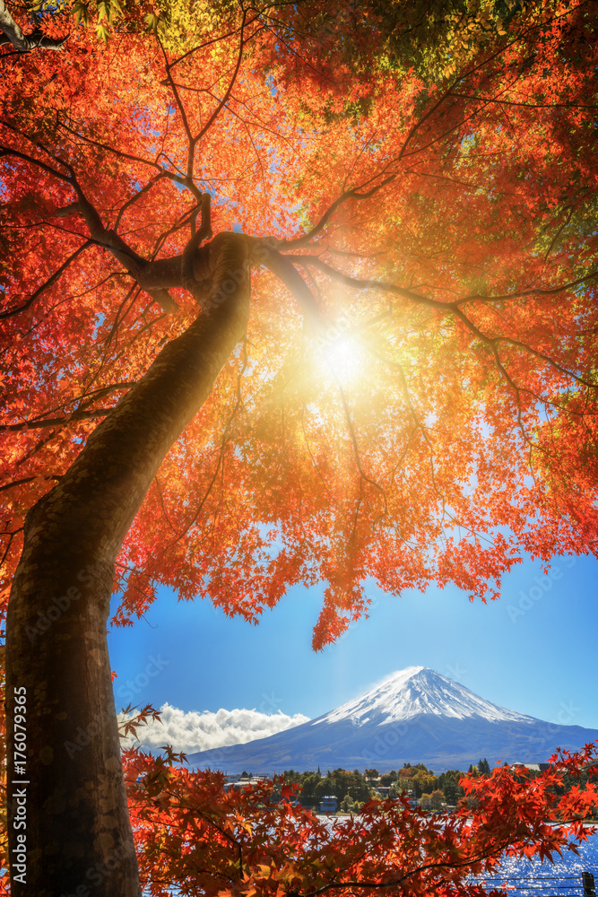 日本秋色富士山