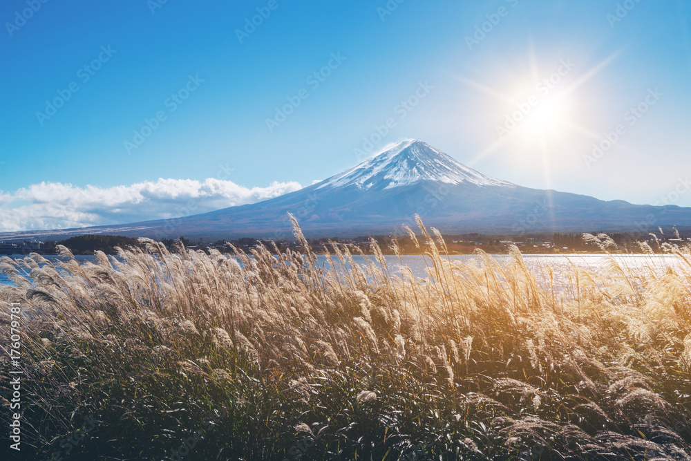 日本秋色富士山