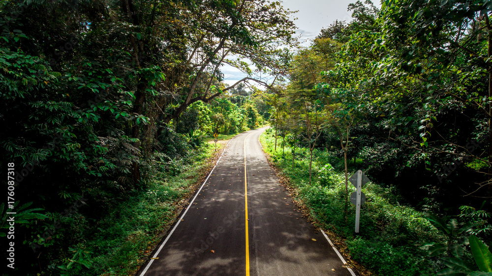 森林里空旷的柏油乡村公路。