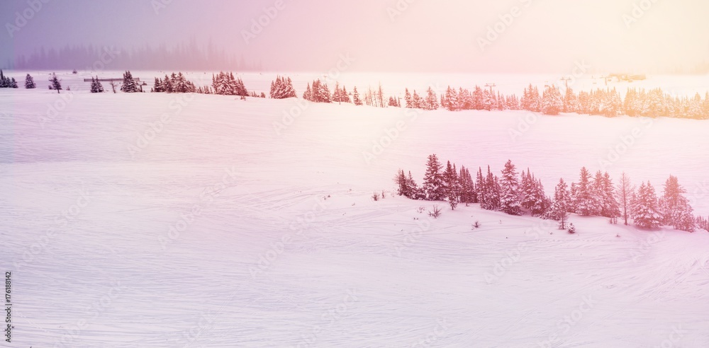 冬季雪景