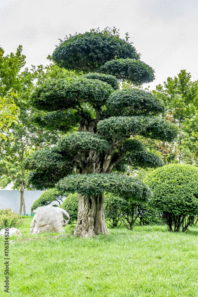 公园是绿色的，森林和草地