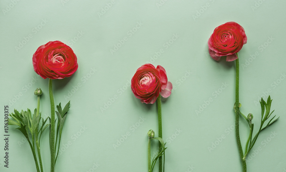 Red flowers on green background