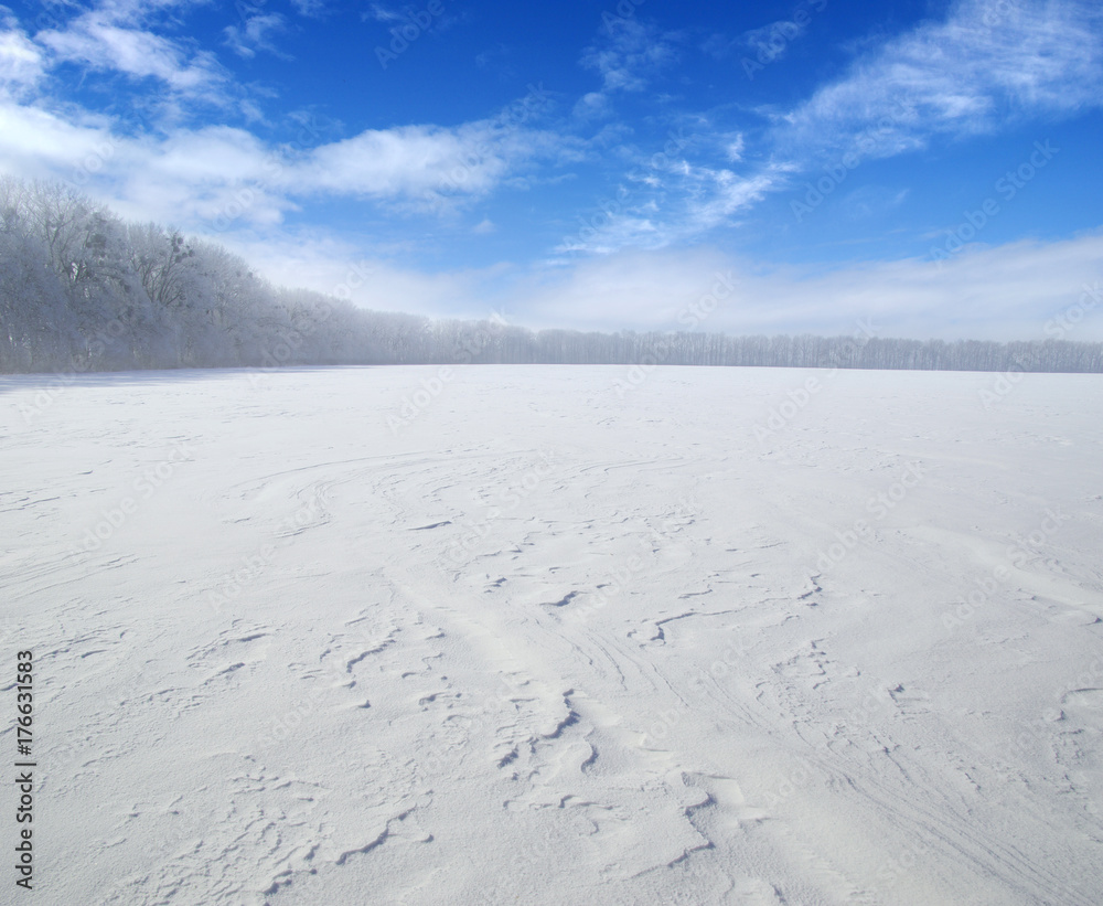 雪地