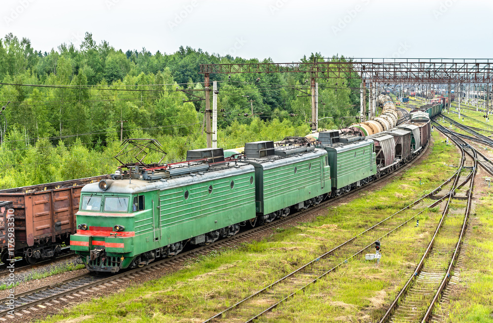 欧洲最大火车站Bekasovo-Sortirovochnoye站的货运列车。俄罗斯莫斯科