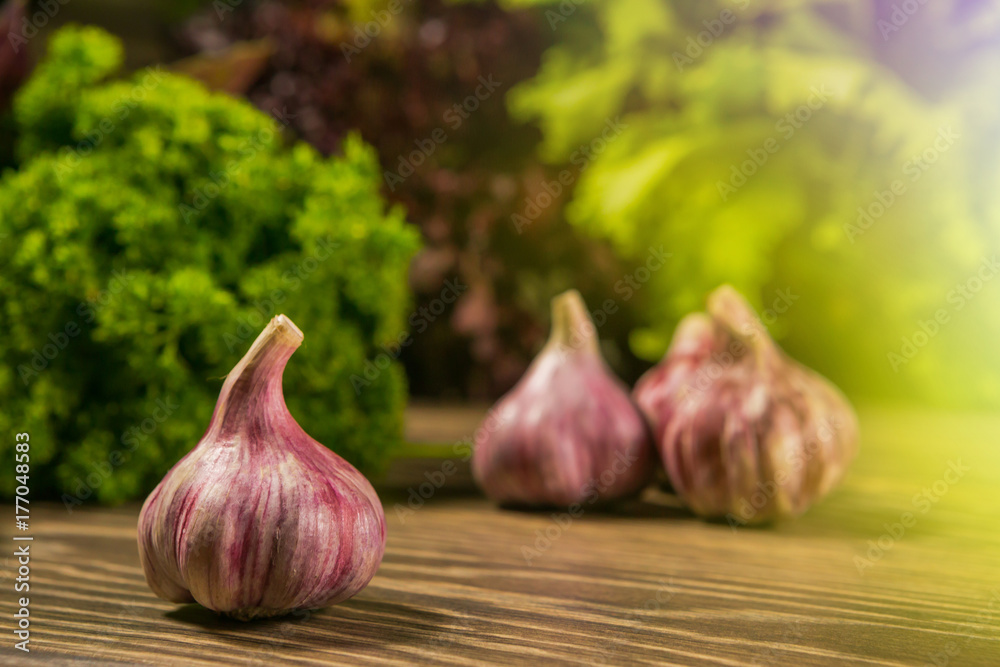 Garlic bulbs with garlic cloves with green salad on the background. Fresh vegetables. Delicious vege