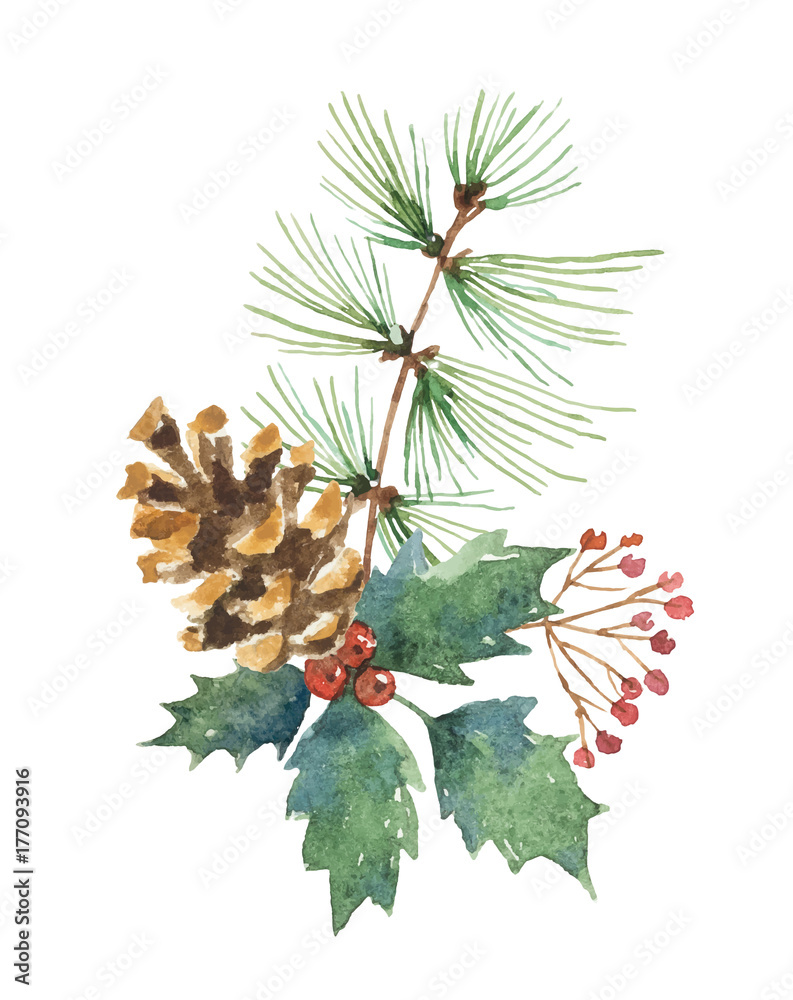 Watercolor vector Christmas bouquet with pine cone, fir branches and leaves.