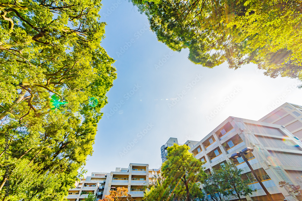 東京のビル群