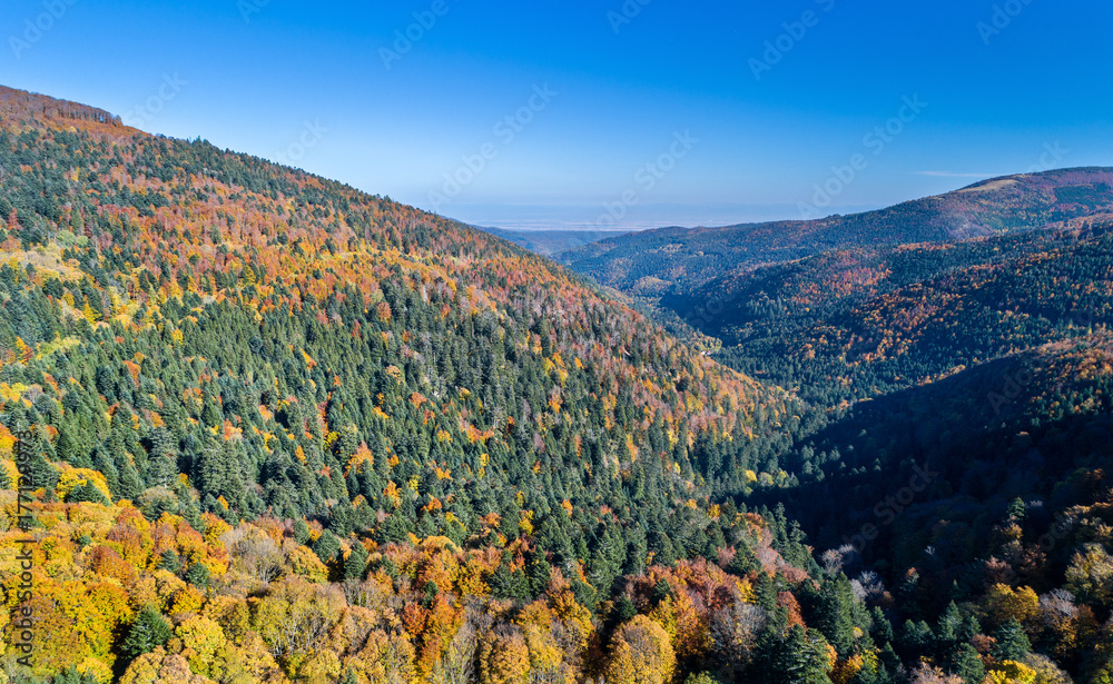 秋天的沃斯日山脉全景。法国阿尔萨斯