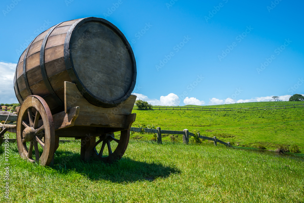 Wine Barrel in Green Grass Field