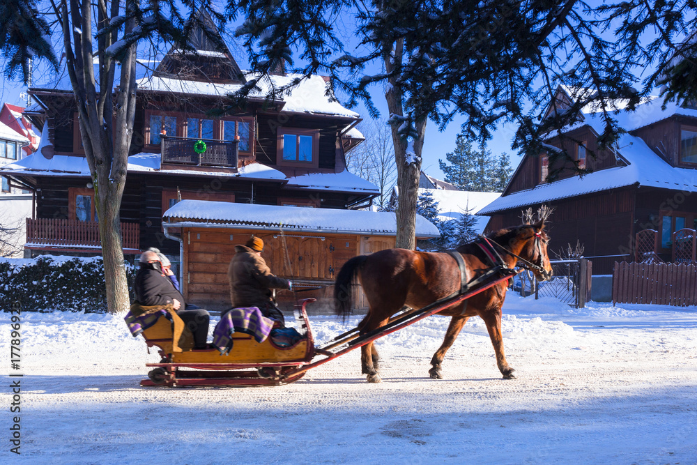 波兰扎科帕内雪地里的马车之旅