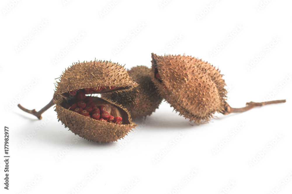 Brazilian Urucum Annatto Seeds