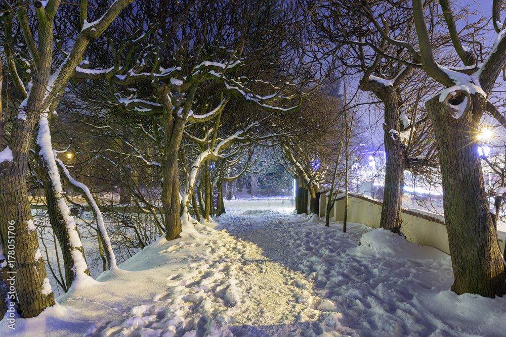 Winter scenery in snowy park of Gdansk, Poland