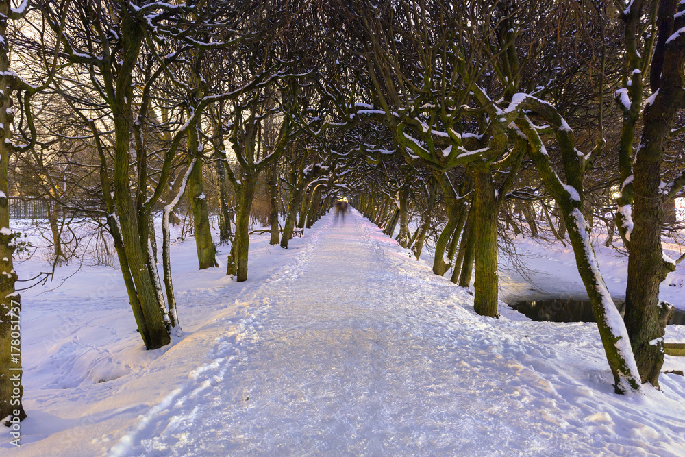 波兰格但斯克雪地公园的冬季风景