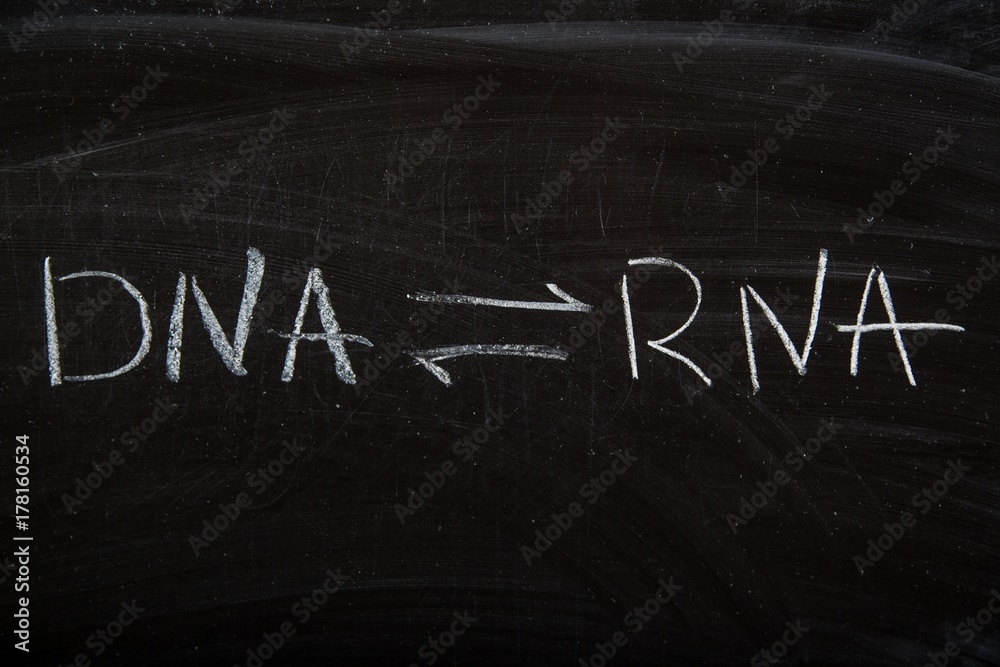 Rna.