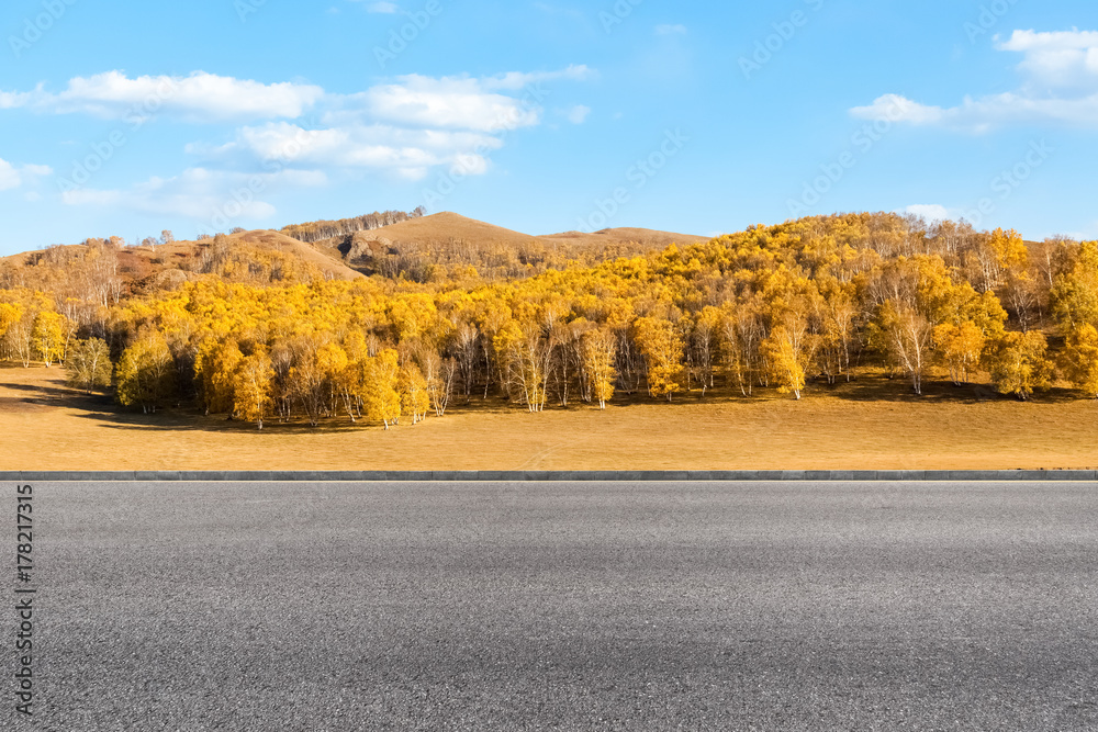 秋天的路背景