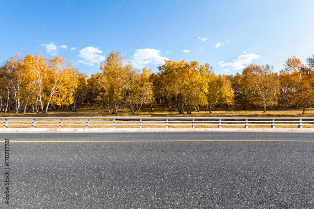 秋季公路背景