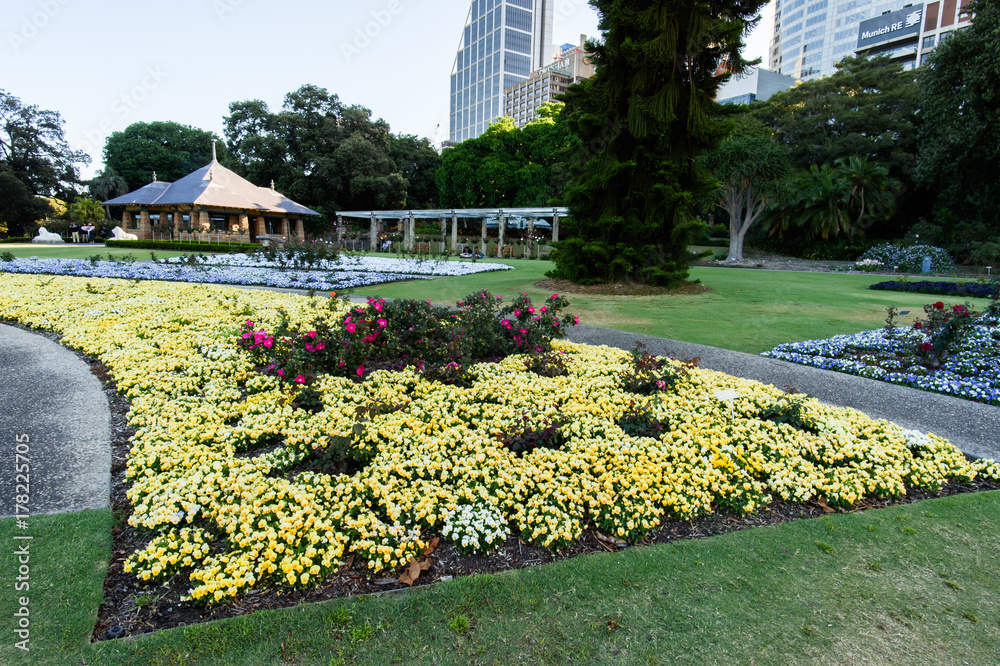 SYDNEY - October 12: Sydney Royal Botanic Garden on October 12, 2017 in Sydney, Australia.