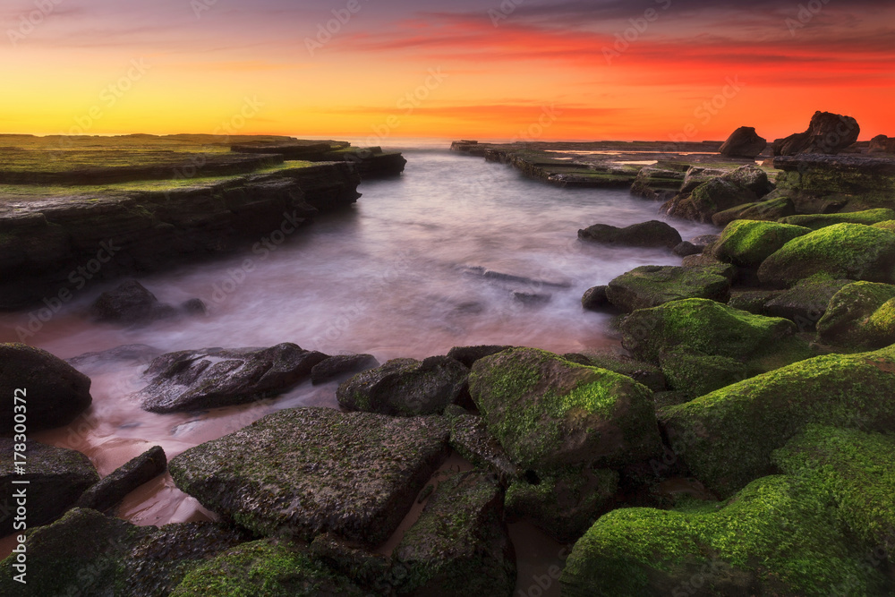 Beautiful seasscape at sunset with green seaweed rock at Turimetta Beach, Australia