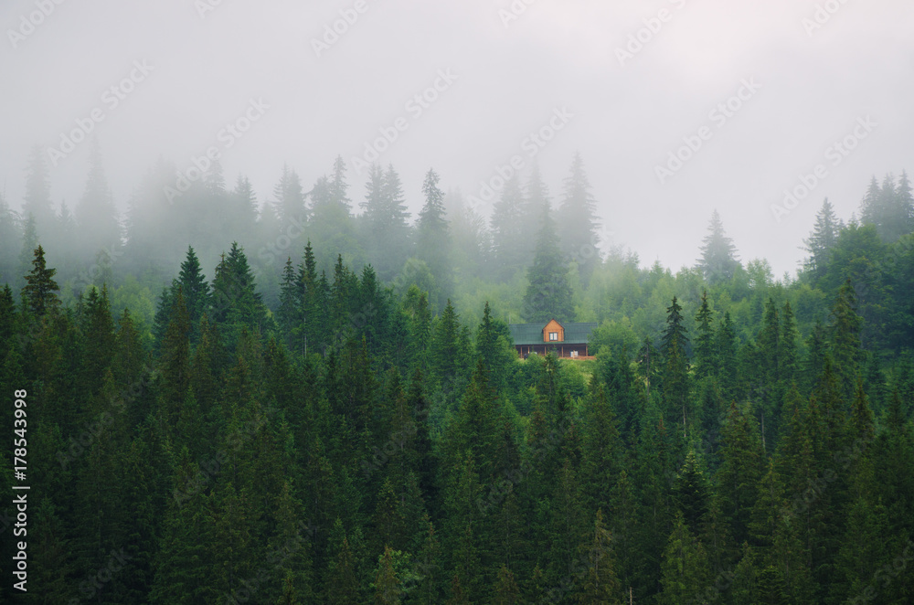 绿色山坡上的小房子，自然景观复古背景。雾蒙蒙的早晨