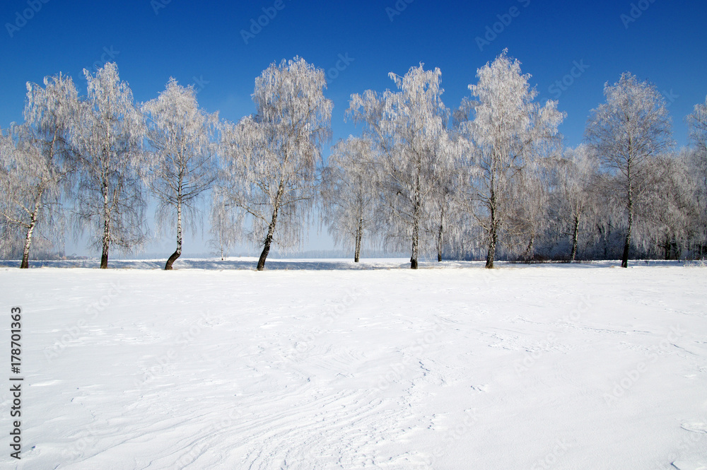 雪地