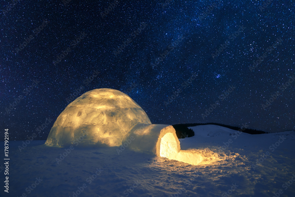 白雪皑皑的冬季场景