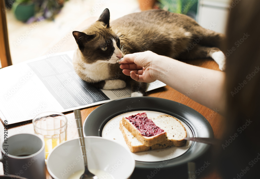 Eatery Breakfast Morning Meal Prepare