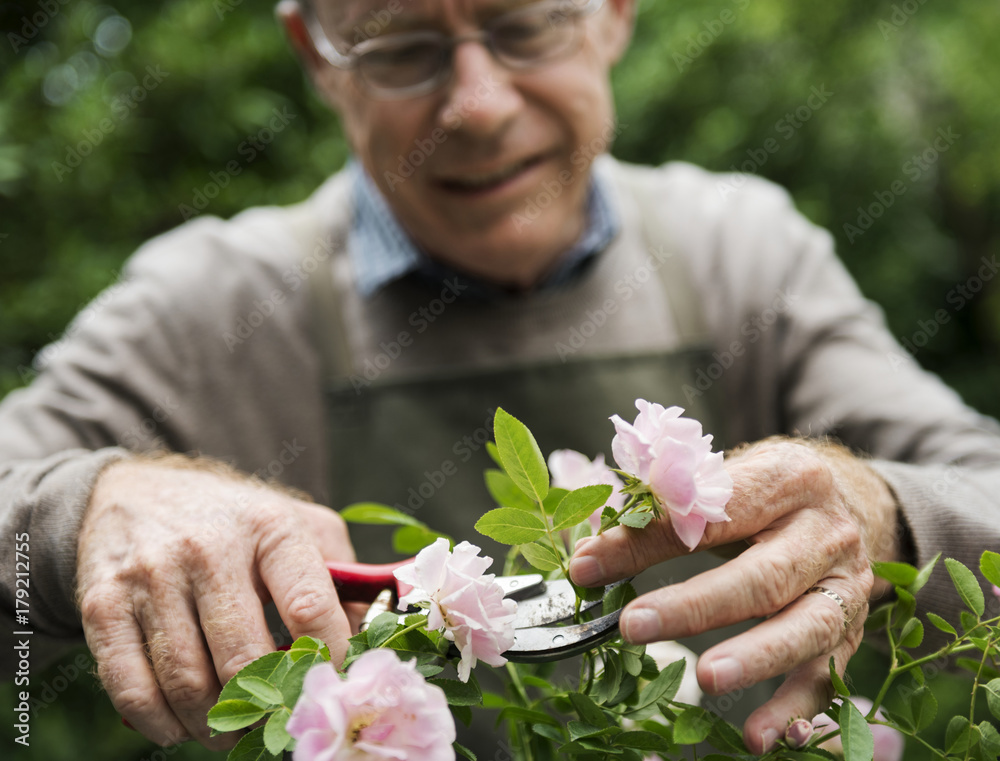 Elderly man flower gardening