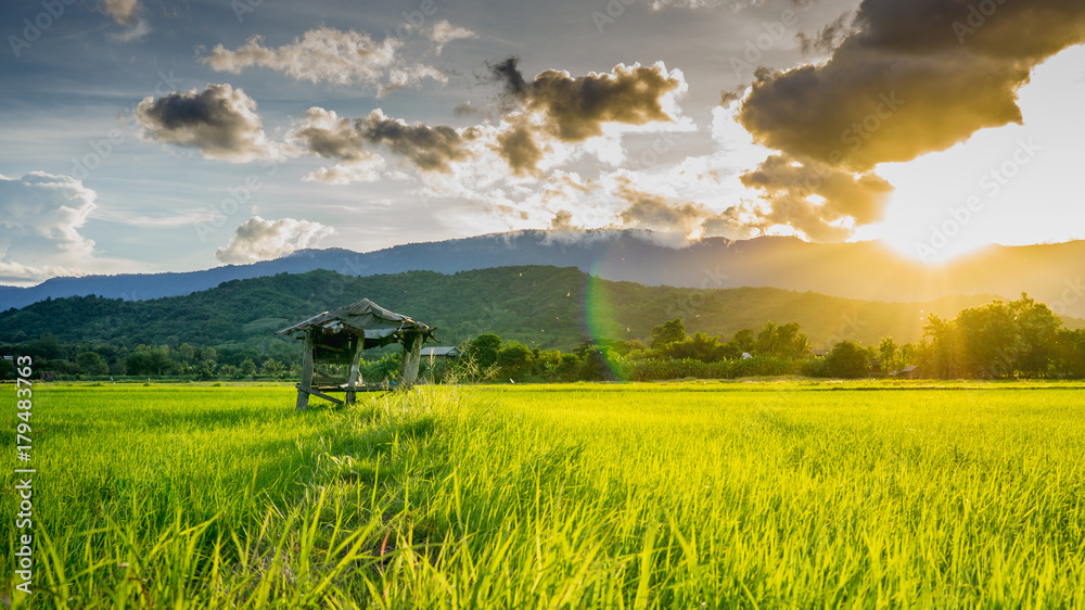 hut on agricultural fields in rural Thailand and light shines sunset.