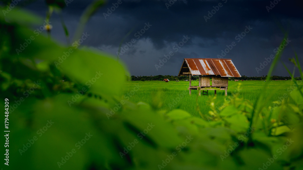 泰国农村人的农田小屋和多云的天空